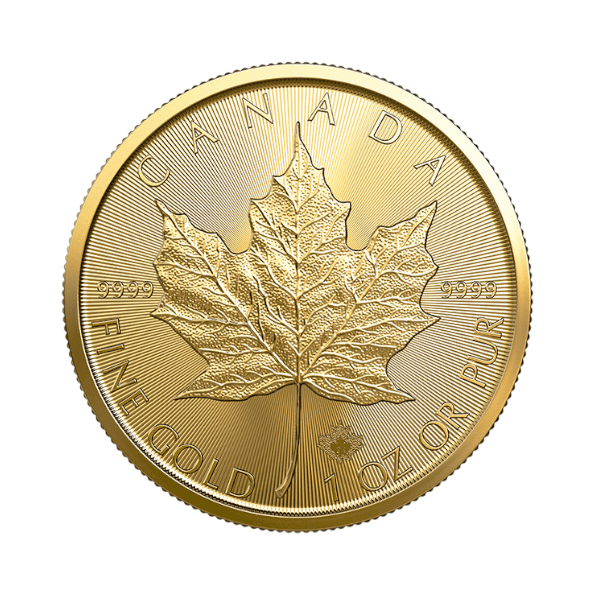 Image of 2026 Canadian Gold Maple Leaf 1 oz $50 Coin .9999 Fine
