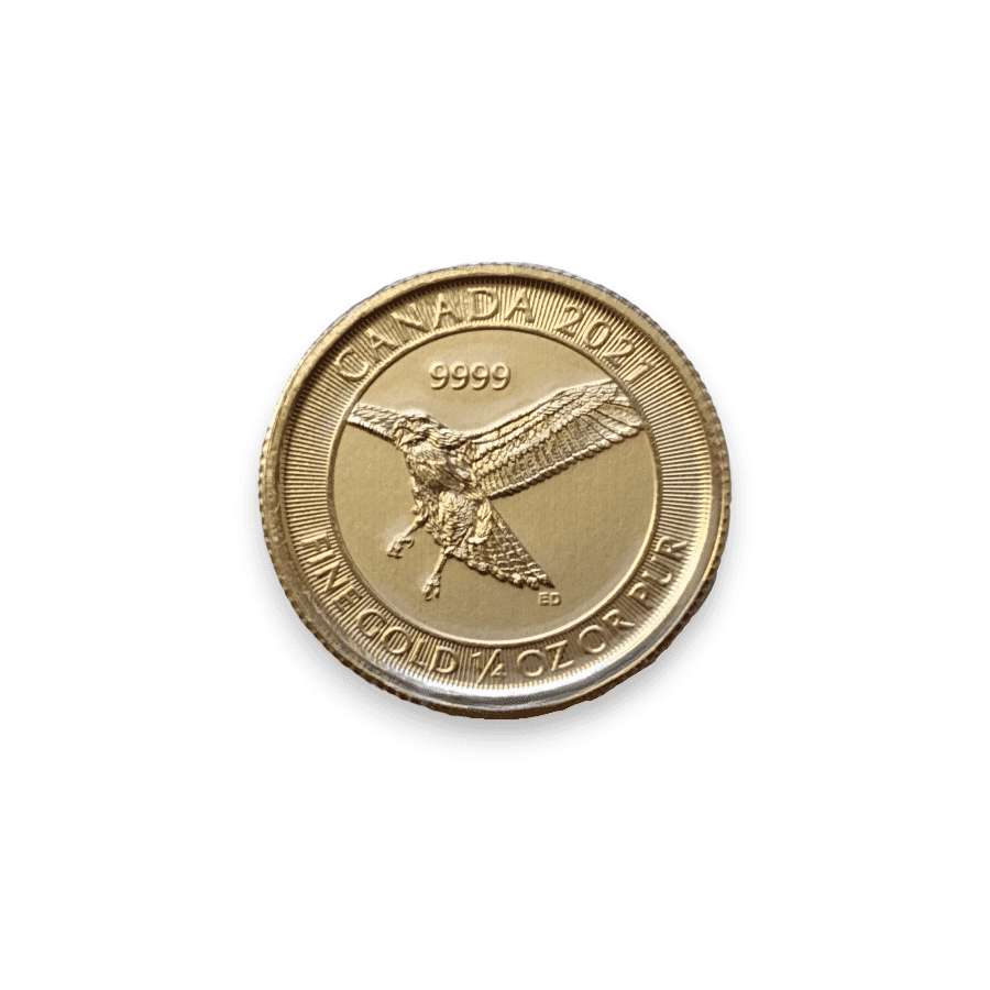 Image of 2021 1/4 oz Canadian Red Tailed Hawk .9999 Fine Gold $10 Coin