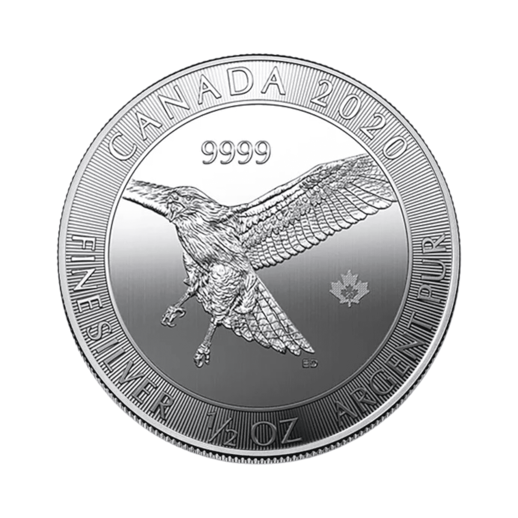 Image of 1/2 oz Canadian $2 Red-Tailed Hawk Silver Coin .9999 Fine (Random Date)