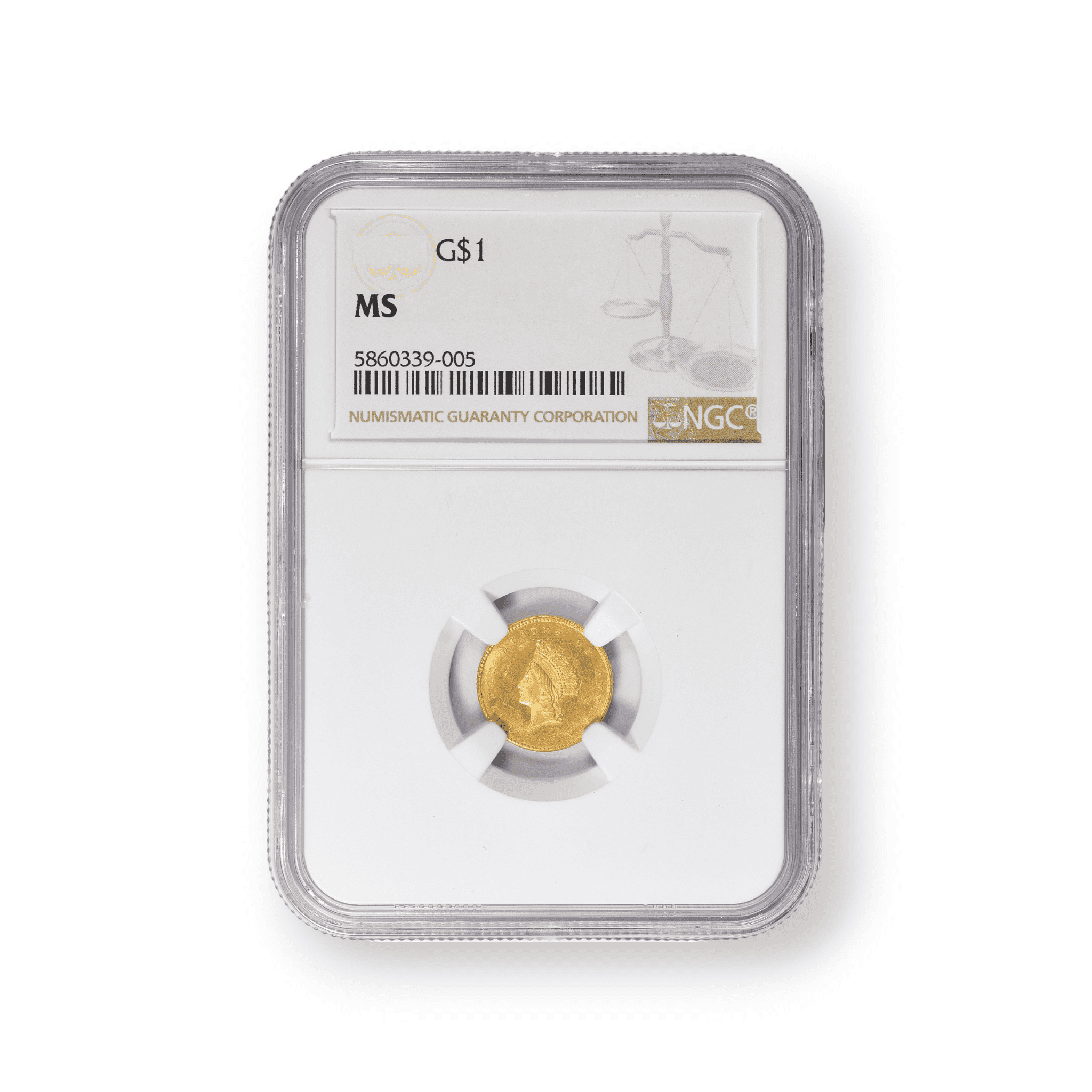 Image of $1 Gold Dollar Type 2 Indian Princess NGC Generic Date
