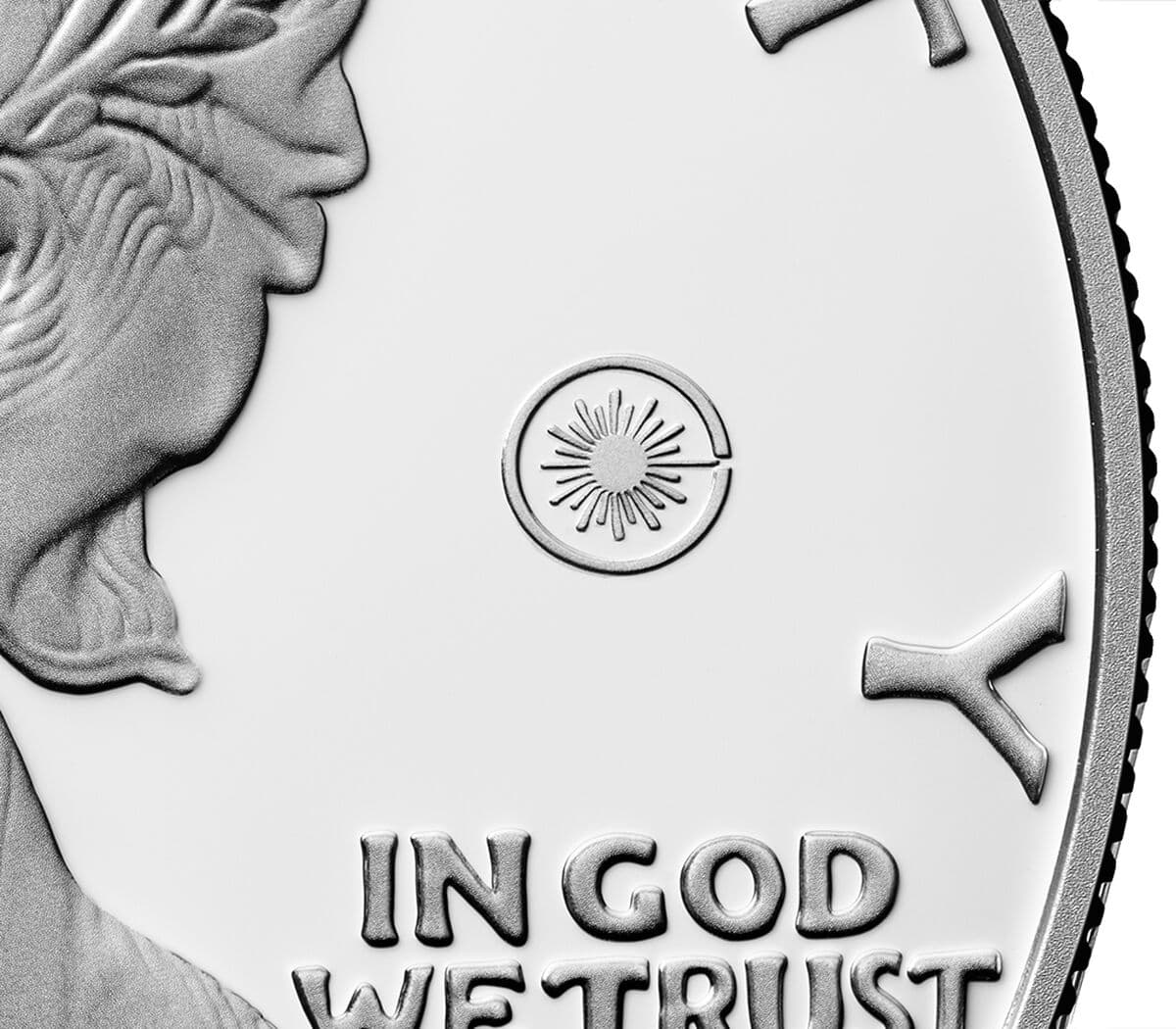2025 Laser Engraved American Eagle One Ounce Silver Proof Coin LASER